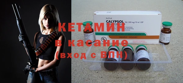 шишки Пересвет