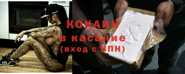 дмт Осинники