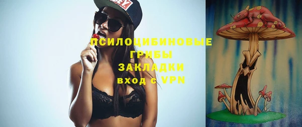 дмт Осинники