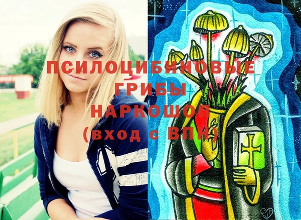 метадон Осташков