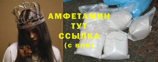 шишки Пересвет
