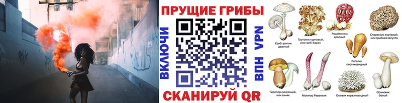 маркетплейс официальный сайт  Инсар  Псилоцибиновые грибы прущие грибы 